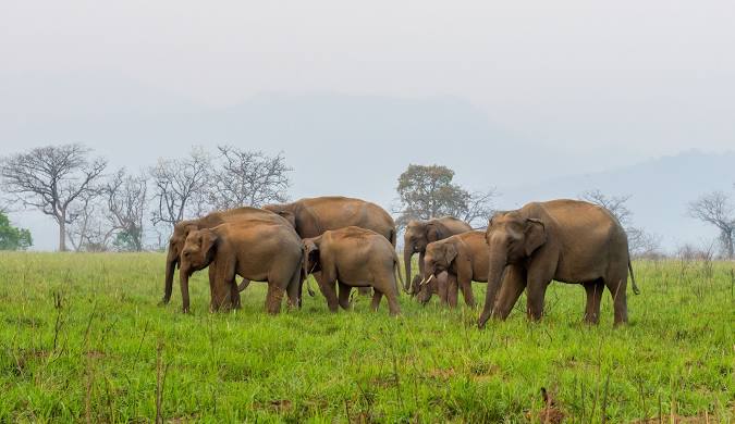 Jim Corbett Tour